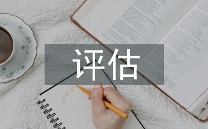 納稅評估調(diào)研報告