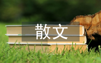 散文教學(xué)中如何滲透審美教育