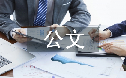 政府公文自查報(bào)告