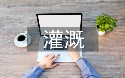 農(nóng)田水利灌溉管理問題及對策