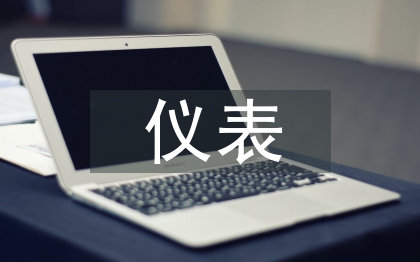 儀表試用期總結(jié)