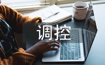 調(diào)控副主任匯報材料