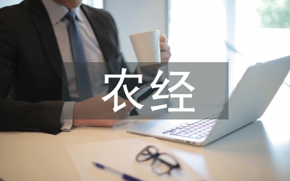 農(nóng)經(jīng)工作要點(diǎn)