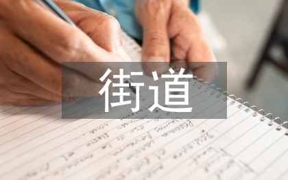 街道黨建工作總結(jié)