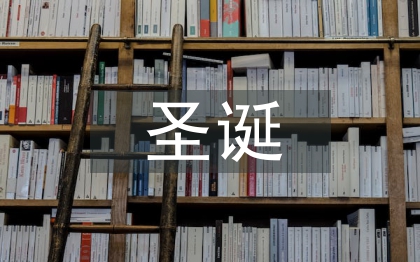 圣誕晚會領(lǐng)導(dǎo)致辭