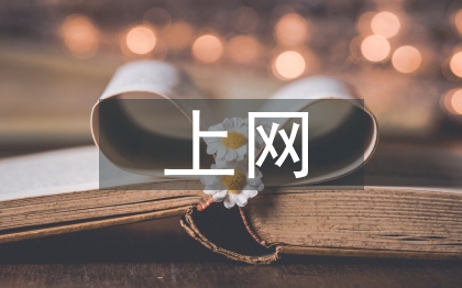 青少年上網(wǎng)調查報告