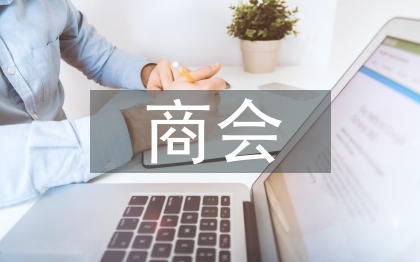 商會黨建工作總結(jié)