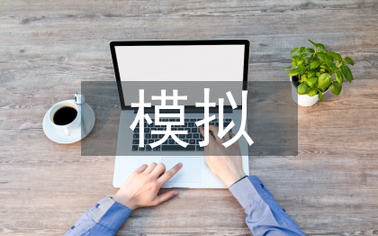 沙盤模擬財務(wù)總監(jiān)總結(jié)