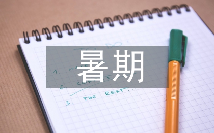 暑期大學(xué)生實(shí)習(xí)論文