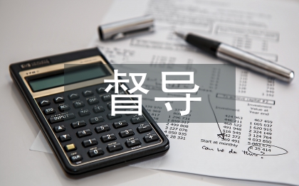 督導(dǎo)檢查整治工作計(jì)劃