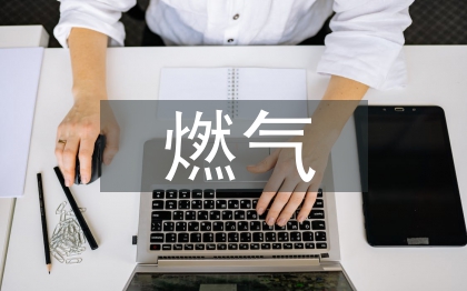 燃?xì)馀嘤?xùn)總結(jié)