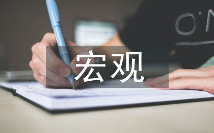 宏觀經濟管理論文