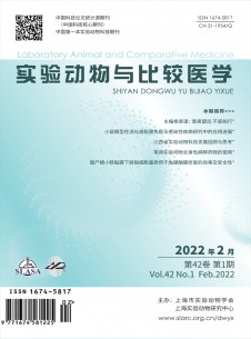 實驗動物與比較醫(yī)學(xué)