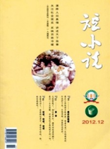 短小說(shuō)雜志