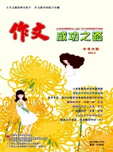 作文成功之路·中考沖刺雜志