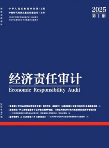 經(jīng)濟(jì)責(zé)任審計(jì)