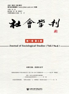 社會(huì)學(xué)刊